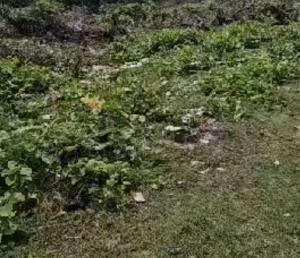 Land For Sale In A Lovely Environment Eko Atlantic Victoria Island Lagos