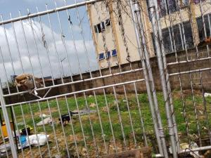 Commercial Land For Sale Akala Express Ibadan Oyo