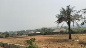 Land For Sale Igbe Kapo,igbe Lara Ikorodu Ikorodu Lagos Land For Sale Igbe Kapo,igbe Lara Ikorodu Ikorodu Lagos