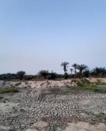 Land For Sale Coastal Road, Eleko, Ibeju Lekki, Lagos Ibeju-Lekki Lagos Land For Sale Coastal Road, Eleko, Ibeju Lekki, Lagos Ibeju-Lekki Lagos