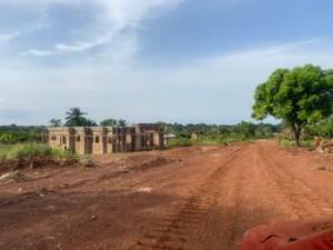 Land For Sale Nike Nkanu East Enugu
