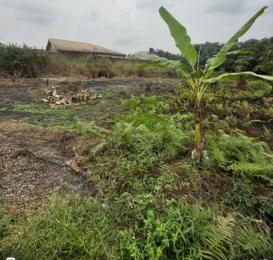 Land For Sale Obafemi Owode Ogun Land For Sale Obafemi Owode Ogun