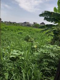 Land For Sale Transformer Bucknor Estate Bucknor Estate Isolo Lagos