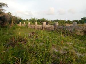Land For Sale Ibusa Main Town Asaba Delta