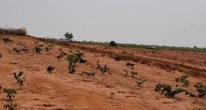 Residential Land For Sale Estate Abuja Phase 1  Residential Land For Sale Estate Abuja Phase 1