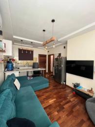 1 bedroom Block Of Flats For Rent Ikate Elegushi Lekki Lagos