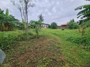 Residential Land For Sale Palms Garden Estate, Green Gate Oluyole Estate Ibadan Oyo Residential Land For Sale Palms Garden Estate, Green Gate Oluyole Estate Ibadan Oyo