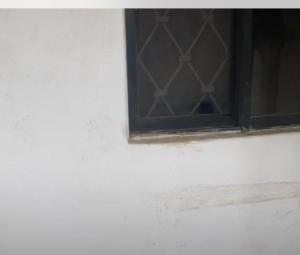 1 bedroom Flat & Apartment For Rent Surulere Lagos 1 bedroom Flat & Apartment For Rent Surulere Lagos