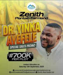 Commercial Land For Sale Ijaiye Neighborhood Ibadan Oyo