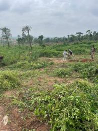 Mixed use Land For Sale Ajebo Obafemi Owode Ogun Mixed use Land For Sale Ajebo Obafemi Owode Ogun