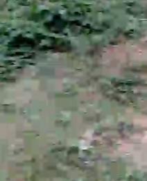 Land For Sale Agidingbi Ikeja Lagos