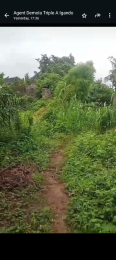 Land For Sale Oke-ira Ogba Lagos