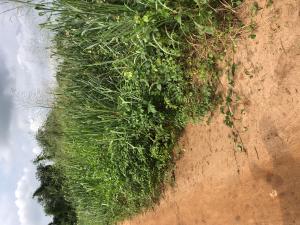 Land For Sale Omole Phase 2 Ojodu Lagos