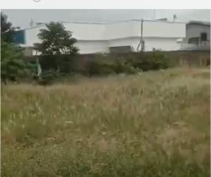 Land For Sale Omole Phase 1 Ojodu Lagos