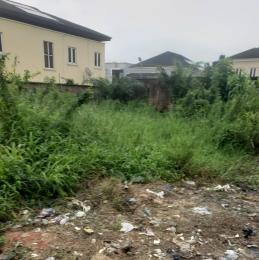 Land For Sale Wemco Road Ogba Lagos