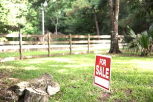 Land For Sale Banana Island Ikoyi Lagos Land For Sale Banana Island Ikoyi Lagos
