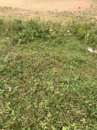 Land For Sale Ijesha Surulere Lagos