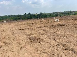 Residential Land For Sale Bliss Garden Estate Omu Ketu Close To Grace Polytechnic Epe Lagos