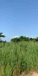 Residential Land For Sale Asese Obafemi Owode Ogun