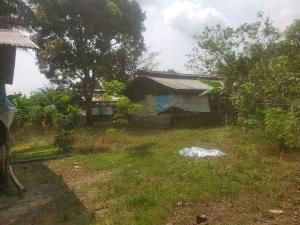 Mixed use Land For Sale Off Orhuwhorun/owhrode Road By The Pipeline, Orhuwhorun. Udu Delta