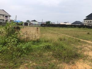 Land For Sale Yaba Tech Estate, Lagasa Awoyaya Ajah Lagos