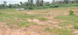 Mixed use Land For Sale Champions Colony Tomoba Village Via Igboye Road Epe Lagos