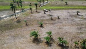 Residential Land For Sale Ode Omi Ogun Waterside  Residential Land For Sale Ode Omi Ogun Waterside