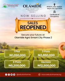 Residential Land For Sale Olamide Agro Smart City Located At Wasimi Ado Awaye Iseyin Ibadan Oyo