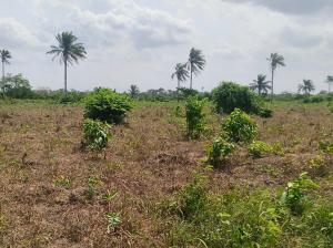Mixed use Land For Sale Rosewood Estate Ughelli Agbara Otor Emevor Road, Warri Delta