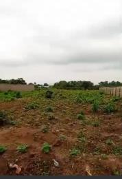 Mixed use Land For Sale Ivy Gold Extension Idu Abuja Idu Railway Station Idu Abuja Phase 4 