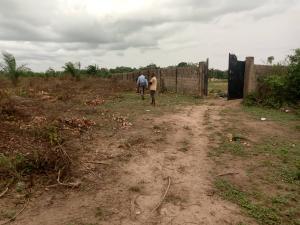 Mixed use Land For Sale Cizagold City Estate Umuokpaa Egbelu Obube Axis (owerri Municipal / Ngor Okpala) Owerri Imo