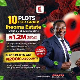 Mixed use Land For Sale Iheoma Estate Off Benin Asaba Express Onicha Ugbo Aniocha South Delta
