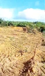 Mixed use Land For Sale Airview Estate, Aiyetoro Town Ibeju-Lekki Lagos