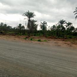 Mixed use Land For Sale Charisma Garden, Ogbor Hills Ovum Aba North, Abia 