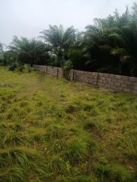 Mixed use Land For Sale Obosima Near Afor Obogwe And Oforola 🗺️ Owerri Imo