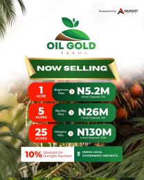 Commercial Land For Sale Odeda Town Ogun Ogun area 