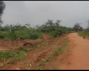 Land For Sale 💥rccg Camp 💥international Breweries 💥nestle Foods Plc 💥olam Plc 💥proposed Gold Refinery Mowe Ogun area  Land For Sale 💥rccg Camp 💥international Breweries 💥nestle Foods Plc 💥olam Plc 💥proposed Gold Refinery Mowe Ogun area