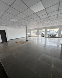 Commercial Property For Rent Lekki Phase 1 Lagos