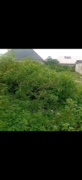 Residential Land For Sale Street Alatise Ibeju-Lekki Lagos
