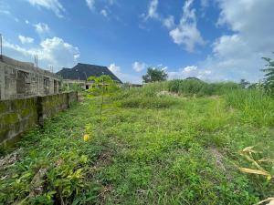 Mixed use Land For Sale Peace Estate , Ajila Road , Elebu Area , Off Akala Express Ibadan Oyo