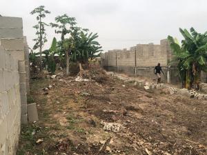 Residential Land For Sale Igbo Agbowa, Olu Odo, Ikorodu. Ikorodu Lagos