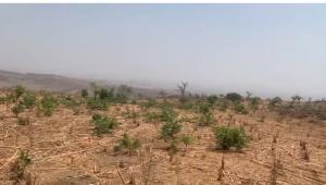 Mixed use Land For Sale Guzape 2 Guzape Abuja Phase 1  Mixed use Land For Sale Guzape 2 Guzape Abuja Phase 1