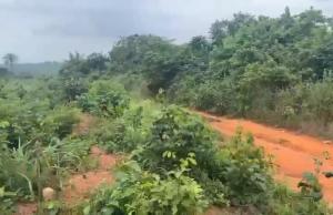 Commercial Land For Sale Onidundu Mokoloki Obafemi Owode Ogun