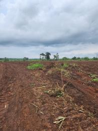 Commercial Land For Sale Farm City Isiwo Ogun State Ogun Ogun area  Commercial Land For Sale Farm City Isiwo Ogun State Ogun Ogun area