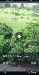Land For Sale Awuwo Ododin Amuwo Odofin Lagos Land For Sale Awuwo Ododin Amuwo Odofin Lagos