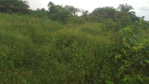 Mixed use Land For Sale Behind Kpansia Market, Off Ayalla Hotels Annex, Kpansia, Yenagoa, Bayelsa State. Yenegoa Bayelsa