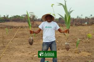 Mixed use Land For Sale July Promo: Gain 500k 1m On Adaba Hybrid Coconut Farm & Resort In Obafemi Owode, Ogun State—nigeria’s Premier Fully Managed Agricultural Wealth Generator Situated In A Booming Commercial And Agro Industrial Corridor Just 30 Minutes From Berger And 45 Min Obafemi Owode Ogun