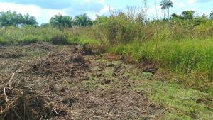 Mixed use Land For Sale Behind Agudama New Market, Agudama Epie, Yenagoa, Bayelsa State. Yenegoa Bayelsa