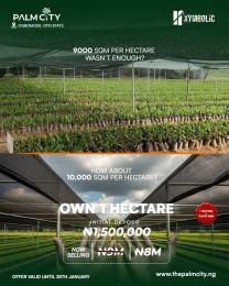 Commercial Land For Sale Palm City Ogbomosho Oyo 