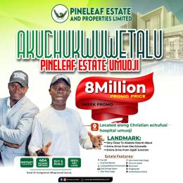 Residential Land For Sale Umuobia Village Mgbago Umuoji Very Close To Abatete Idemili North Anambra